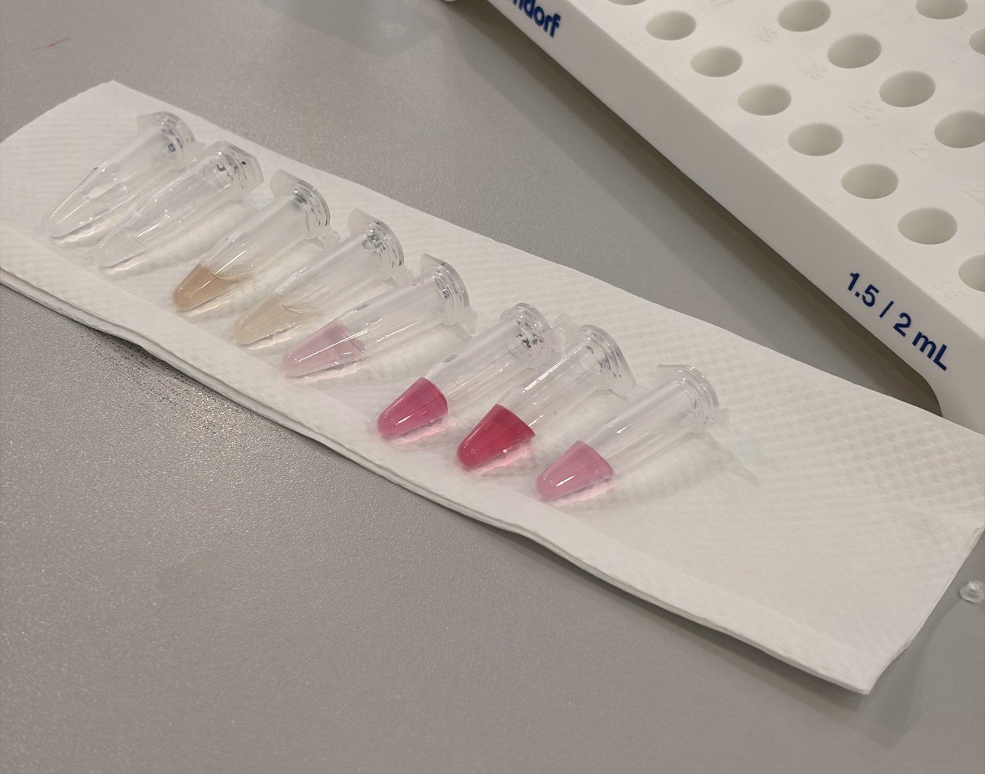 ELISA colour reaction across sample tubes